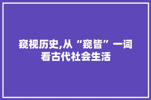 窥视历史,从“窥皆”一词看古代社会生活 工作总结