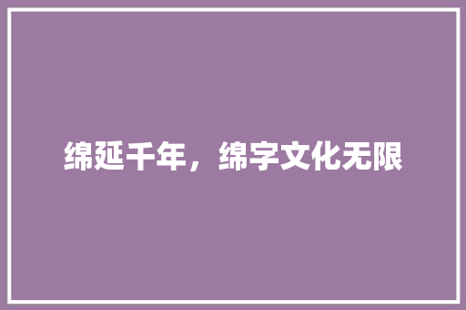 绵延千年，绵字文化无限