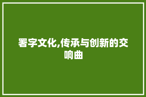 署字文化,传承与创新的交响曲 工作总结