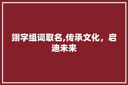 翊字组词取名,传承文化，启迪未来