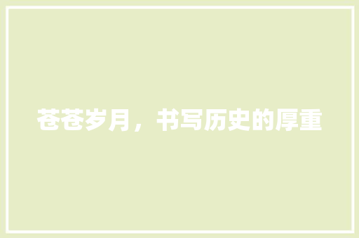 苍苍岁月，书写历史的厚重