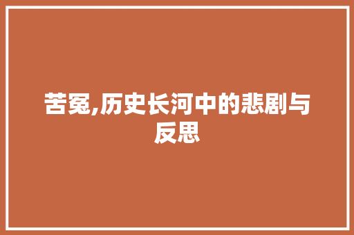 苦冤,历史长河中的悲剧与反思 职场写作