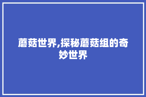 蘑菇世界,探秘蘑菇组的奇妙世界