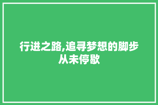 行进之路,追寻梦想的脚步从未停歇