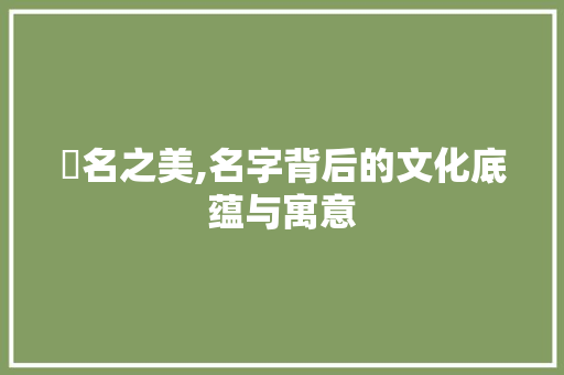 赟名之美,名字背后的文化底蕴与寓意