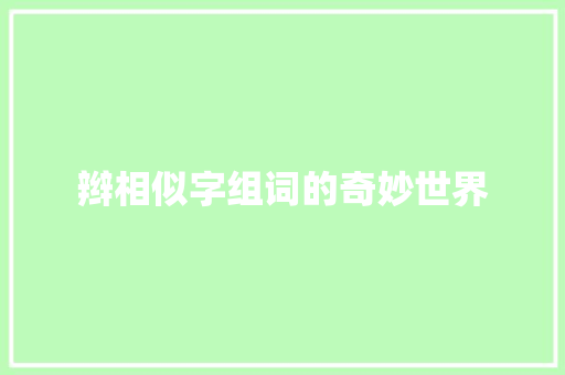 辫相似字组词的奇妙世界 工作总结