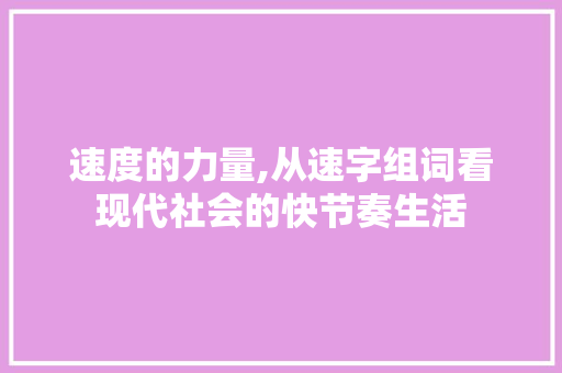 速度的力量,从速字组词看现代社会的快节奏生活