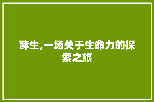 酵生,一场关于生命力的探索之旅 诗词体裁