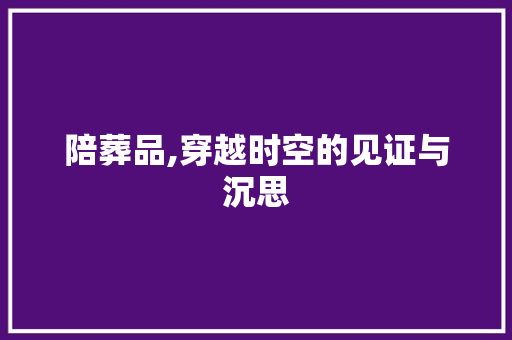 陪葬品,穿越时空的见证与沉思 职场写作