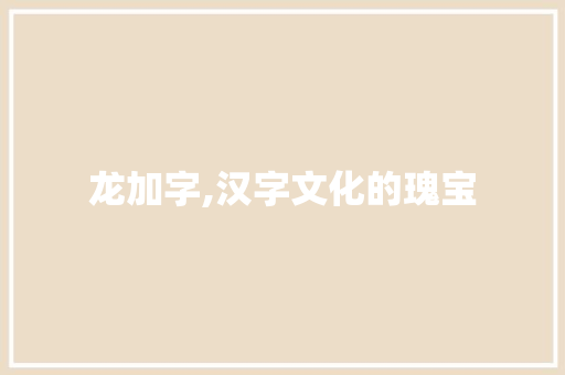 龙加字,汉字文化的瑰宝 会议纪要