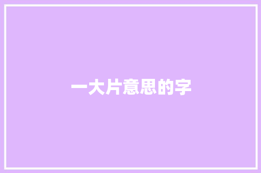 一大片意思的字