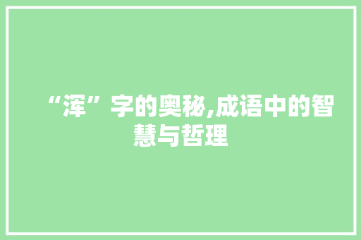 “浑”字的奥秘,成语中的智慧与哲理