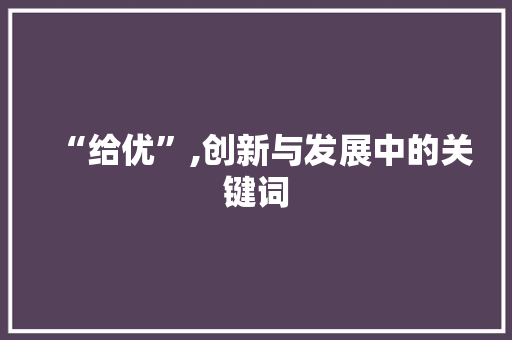 “给优”,创新与发展中的关键词