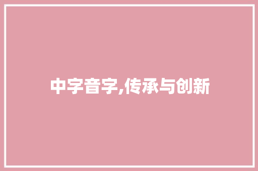 中字音字,传承与创新 项目报告
