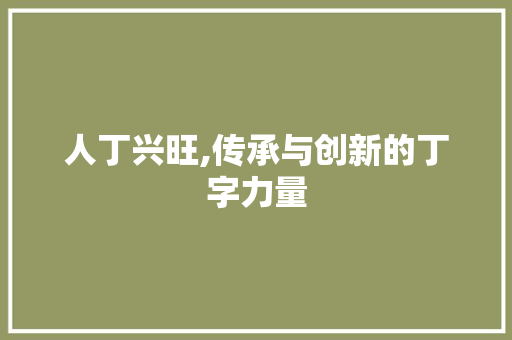 人丁兴旺,传承与创新的丁字力量