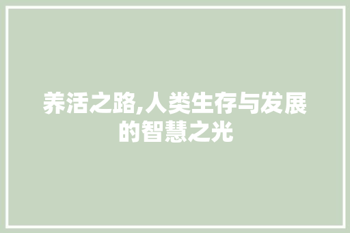 养活之路,人类生存与发展的智慧之光