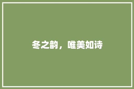 冬之韵，唯美如诗