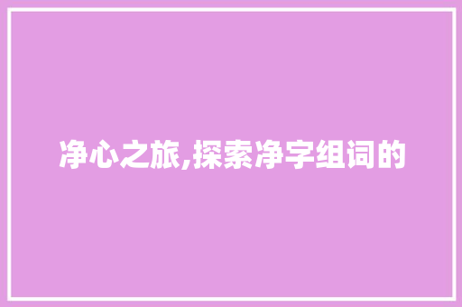 净心之旅,探索净字组词的 应用文