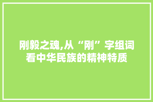 刚毅之魂,从“刚”字组词看中华民族的精神特质 工作总结