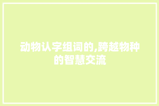 动物认字组词的,跨越物种的智慧交流