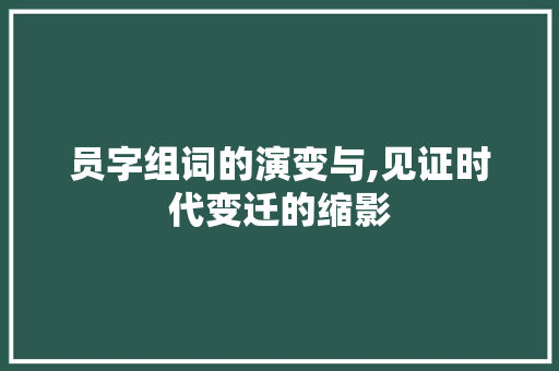员字组词的演变与,见证时代变迁的缩影