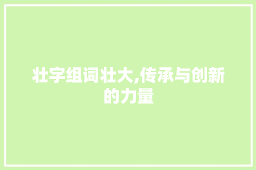 壮字组词壮大,传承与创新的力量 职场写作