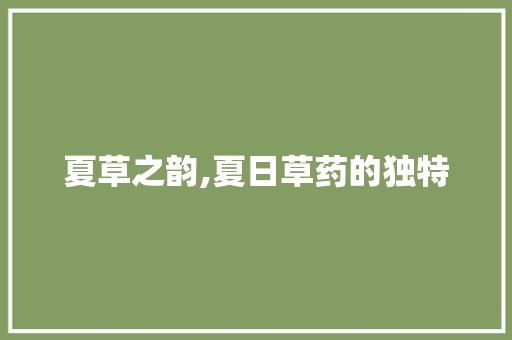 夏草之韵,夏日草药的独特