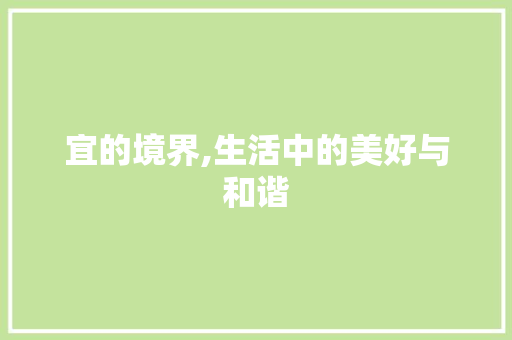 宜的境界,生活中的美好与和谐 应用文