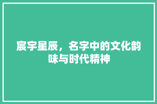 宸宇星辰，名字中的文化韵味与时代精神