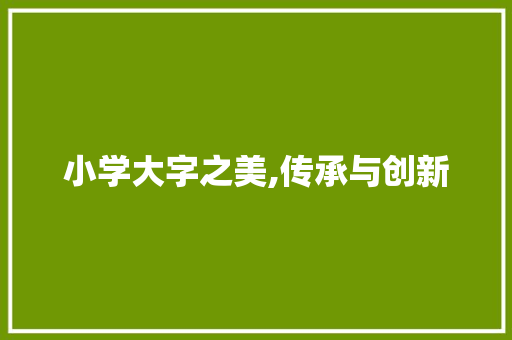 小学大字之美,传承与创新
