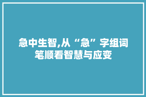 急中生智,从“急”字组词笔顺看智慧与应变 工作总结