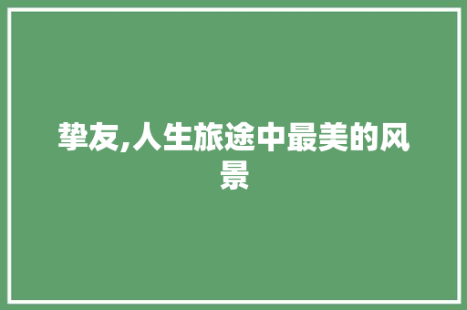 挚友,人生旅途中最美的风景