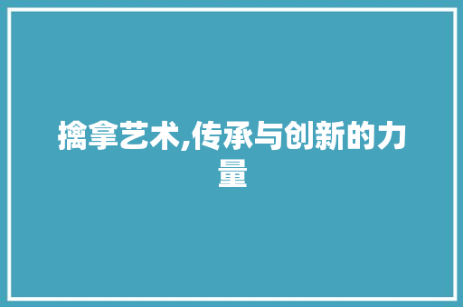 擒拿艺术,传承与创新的力量
