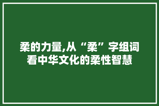 柔的力量,从“柔”字组词看中华文化的柔性智慧