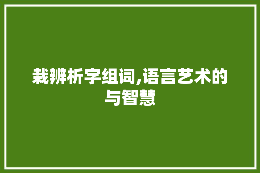 栽辨析字组词,语言艺术的与智慧