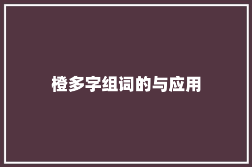 橙多字组词的与应用 会议纪要