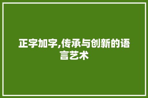 正字加字,传承与创新的语言艺术