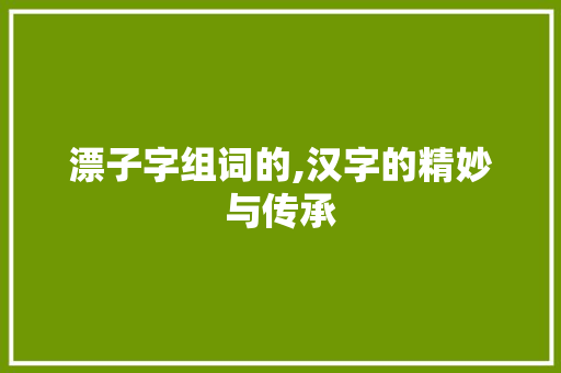 漂子字组词的,汉字的精妙与传承