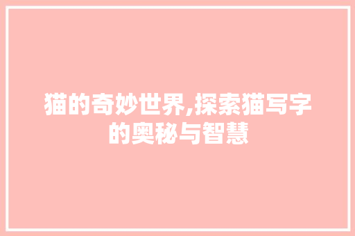 猫的奇妙世界,探索猫写字的奥秘与智慧