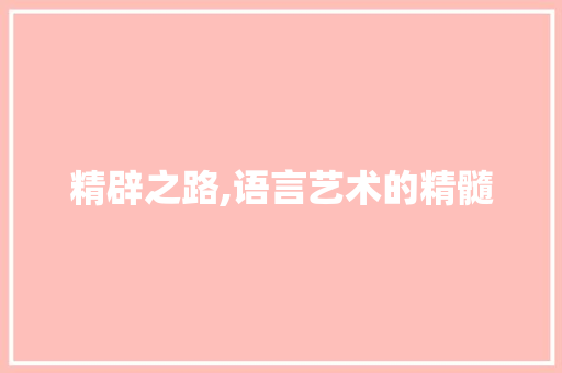 精辟之路,语言艺术的精髓 项目报告