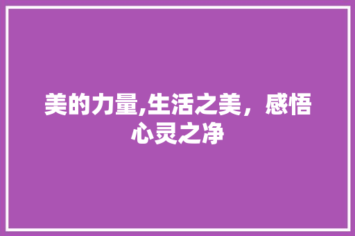 美的力量,生活之美，感悟心灵之净