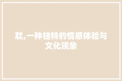 耽,一种独特的情感体验与文化现象