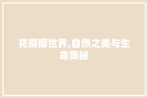 花瓣瓣世界,自然之美与生命奥秘
