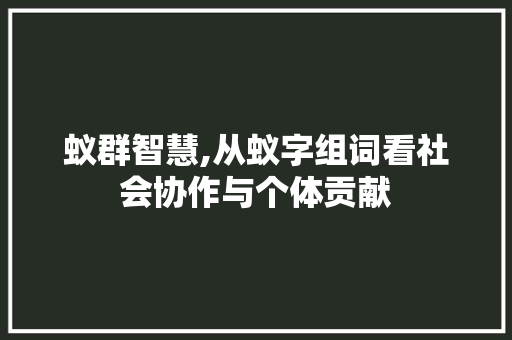 蚁群智慧,从蚁字组词看社会协作与个体贡献
