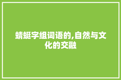 蜻蜓字组词语的,自然与文化的交融