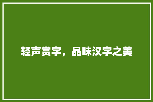 轻声赏字，品味汉字之美