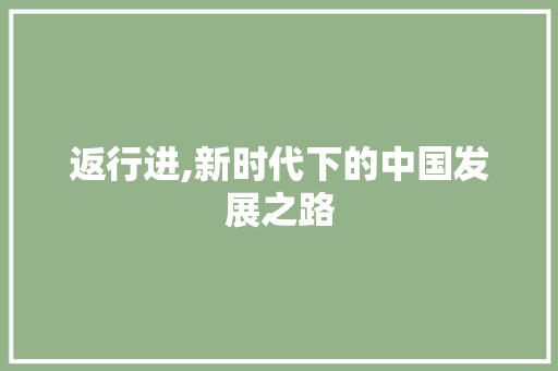 返行进,新时代下的中国发展之路