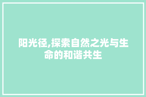 阳光径,探索自然之光与生命的和谐共生