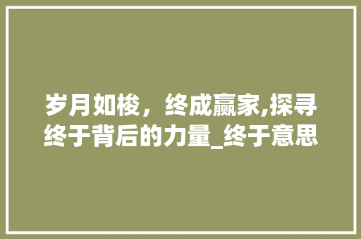 岁月如梭，终成赢家,探寻终于背后的力量_终于意思相近的四字词语
