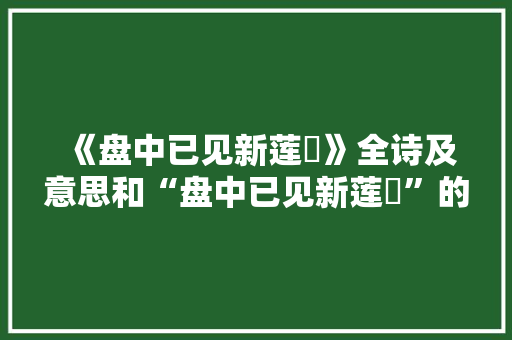 《盘中已见新莲菂》全诗及意思和“盘中已见新莲菂”的拼音注释